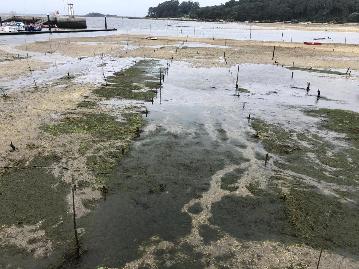 Alojamientos Rias Baixas- Casa Castillejos- Carril Vilagarcia de Arousa Εξωτερικό φωτογραφία